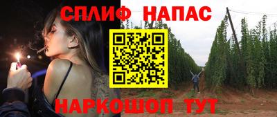 СК Тара