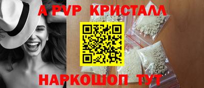 СК Тара
